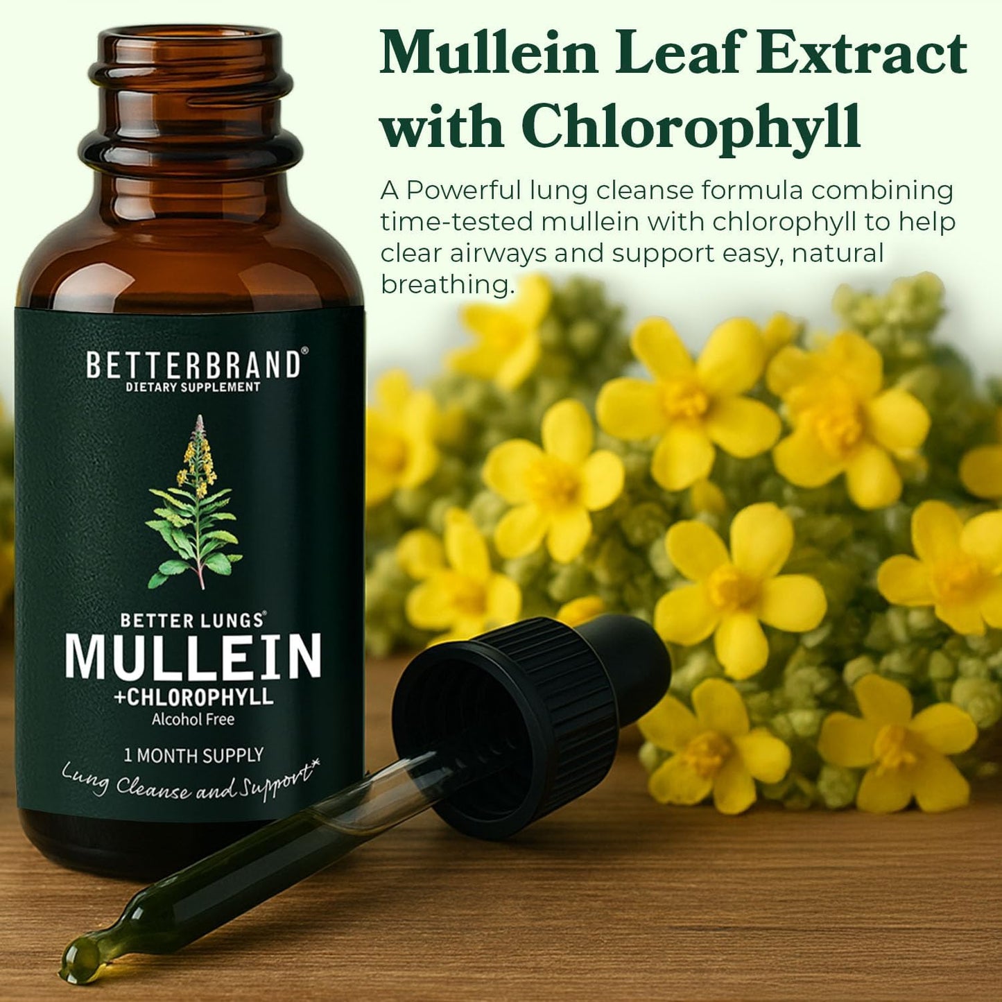 Betterbrand Mullein Drops for Lungs – Mullein Leaf Extract with Chlorophyll Liquid – Respiratory Support, Lung Detox Formula & Chlorophyll Drops – Natural Herbal Tincture, 1 Month Supply