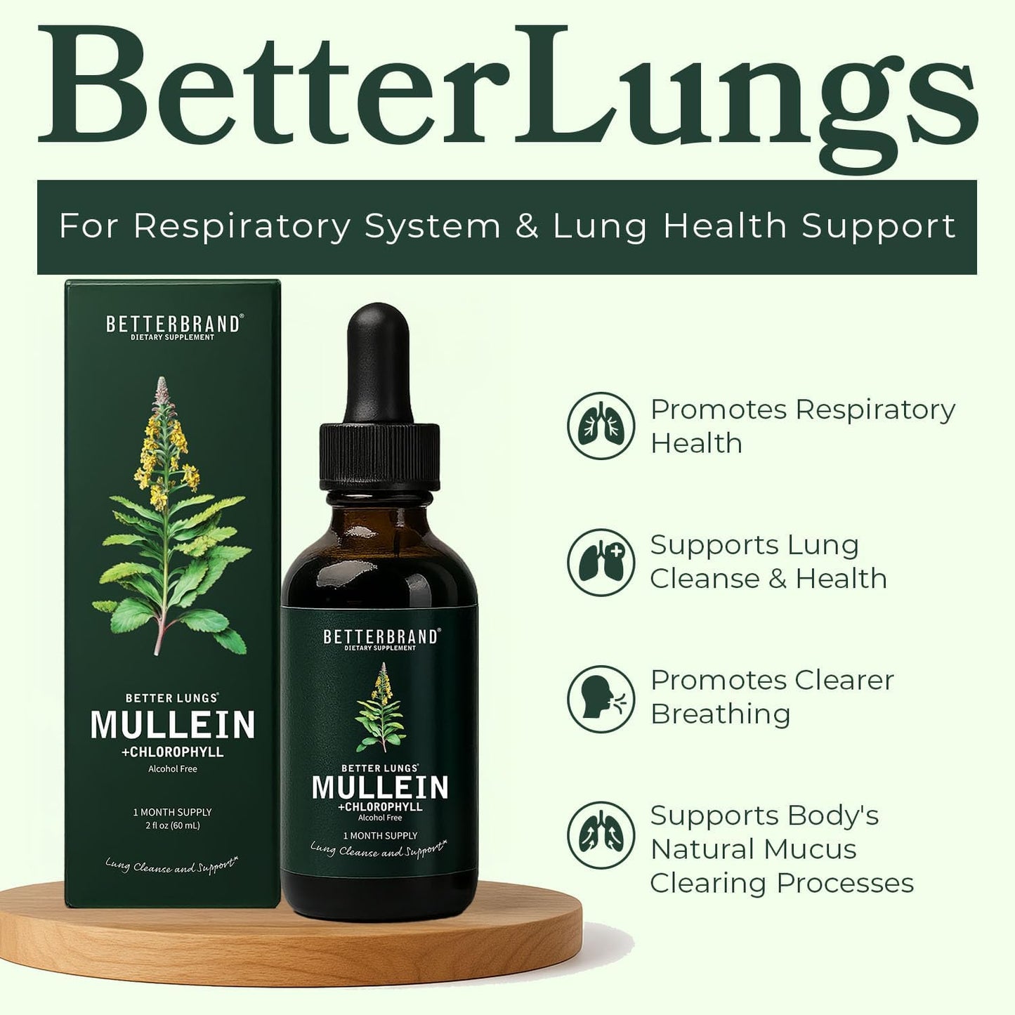 Betterbrand Mullein Drops for Lungs – Mullein Leaf Extract with Chlorophyll Liquid – Respiratory Support, Lung Detox Formula & Chlorophyll Drops – Natural Herbal Tincture, 1 Month Supply