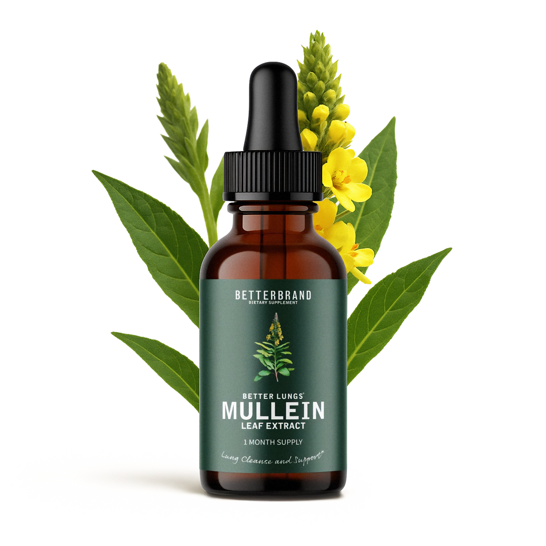 Betterbrand Mullein Drops for Lungs – Mullein Leaf Extract with Chlorophyll Liquid – Respiratory Support, Lung Detox Formula & Chlorophyll Drops – Natural Herbal Tincture, 1 Month Supply