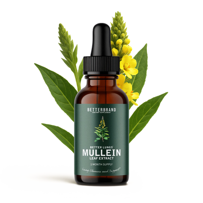 Betterbrand Mullein Drops for Lungs – Mullein Leaf Extract with Chlorophyll Liquid – Respiratory Support, Lung Detox Formula & Chlorophyll Drops – Natural Herbal Tincture, 1 Month Supply