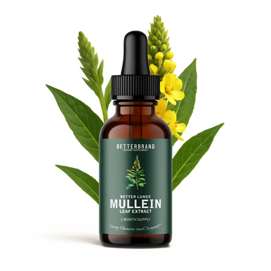 Betterbrand Mullein Drops for Lungs – Mullein Leaf Extract with Chlorophyll Liquid – Respiratory Support, Lung Detox Formula & Chlorophyll Drops – Natural Herbal Tincture, 1 Month Supply