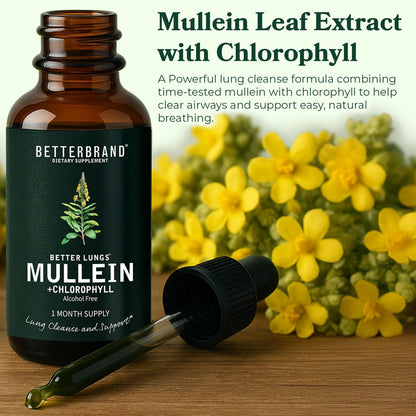 Betterbrand Mullein Drops for Lungs – Mullein Leaf Extract with Chlorophyll Liquid – Respiratory Support, Lung Detox Formula & Chlorophyll Drops – Natural Herbal Tincture, 1 Month Supply